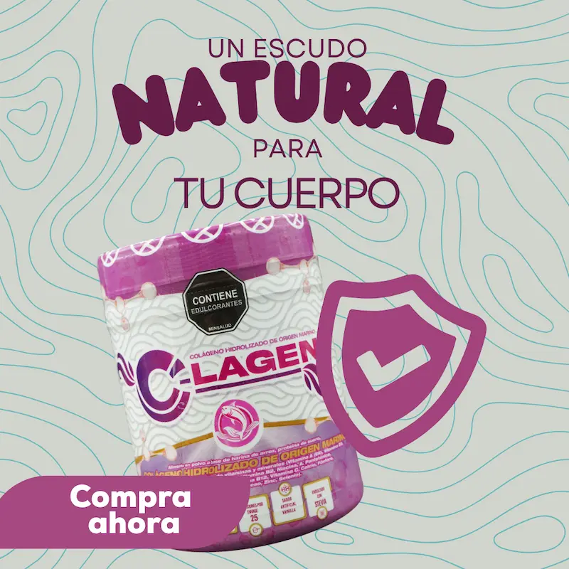 C-Lagen miniatura 5