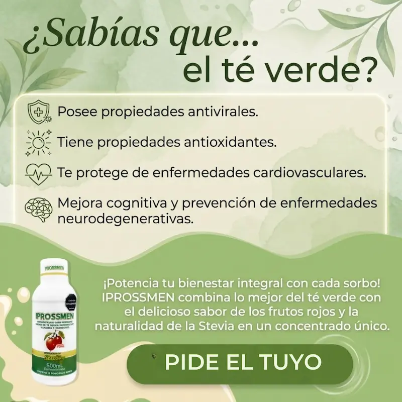 Iprossmen miniatura 3