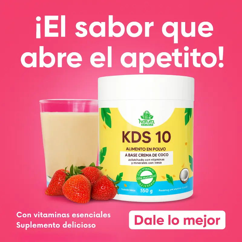 KDS 10 miniatura 4