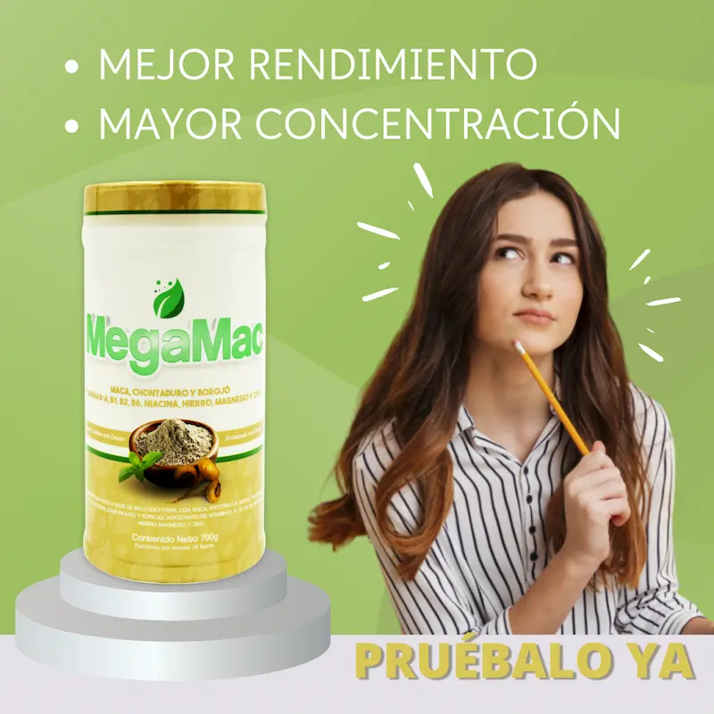 Megamac miniatura 3